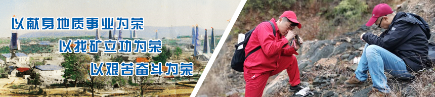 午夜妇女AAAA区片