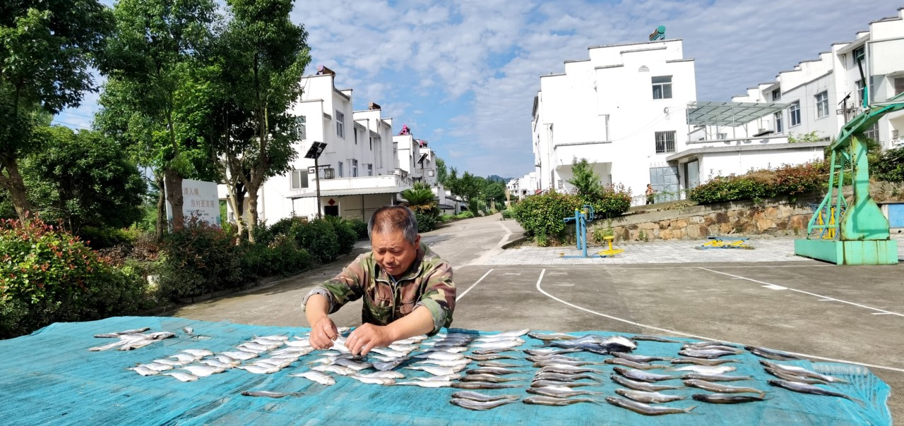 6.《土特产》 土特产 赵玉艳 手机摄影.jpg