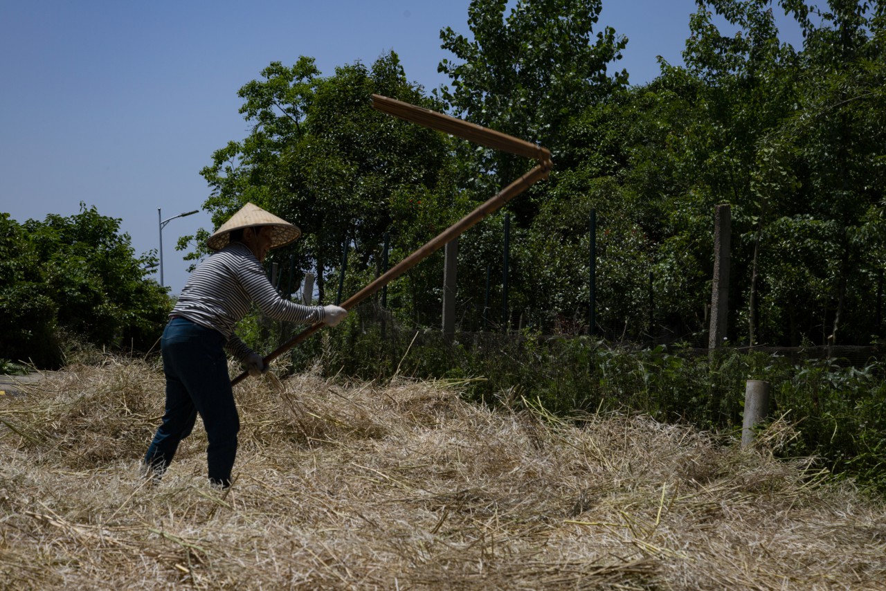 7.《梿枷声声唱丰收》夏可义 相机摄影.jpg