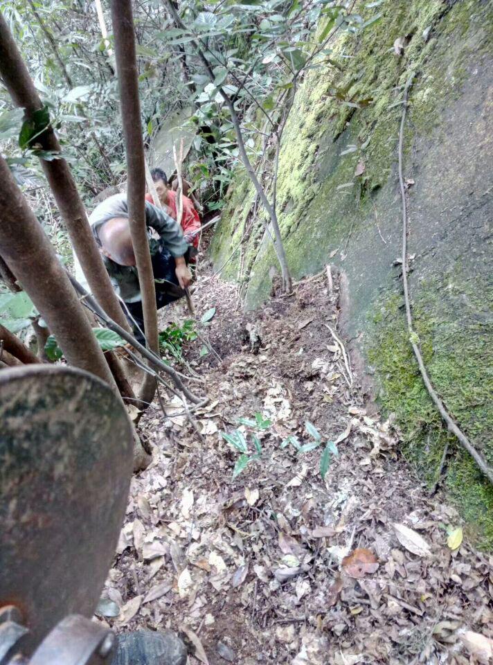 午夜妇女AAAA区片