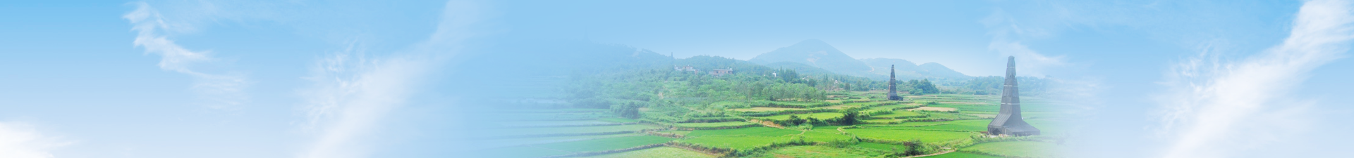 午夜妇女AAAA区片